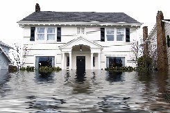 water damage restoration in virginia