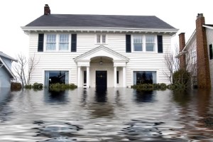 Gloucester County Restoration Contractor